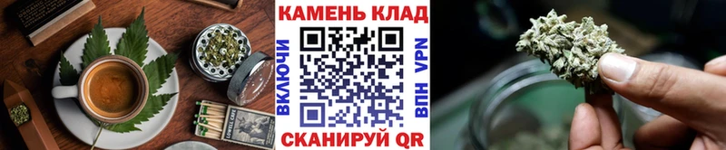 Canna-Cookies марихуана  Купить закладки  Будённовск 