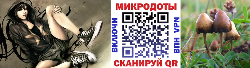 Купить где  Будённовск  Псилоцибиновые грибы прущие грибы 